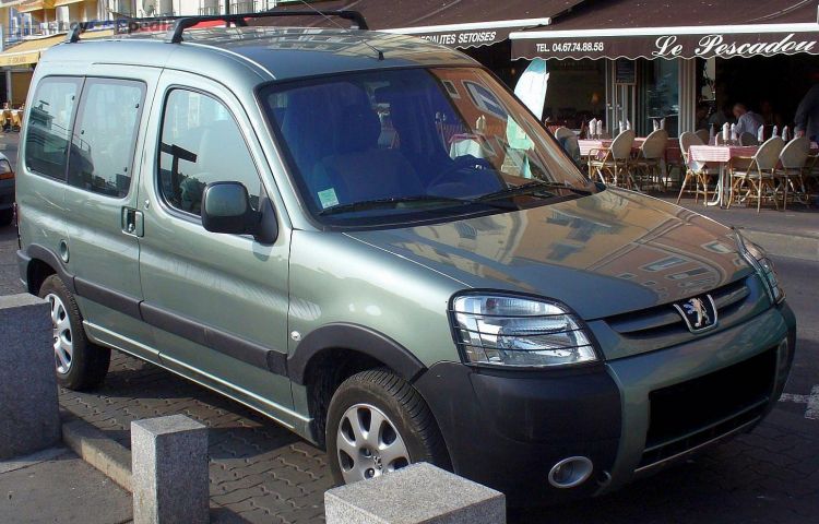 2006, 2007, 2008 Peugeot Partner Bivalent