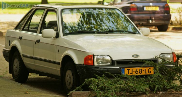 1988, 1989, 1990 Ford Escort 1.8 D