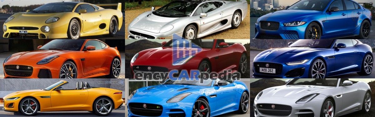 Les Jaguar les plus rapides du monde