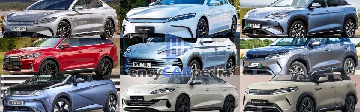 The Highest Power / Weight BYD Cars Ever