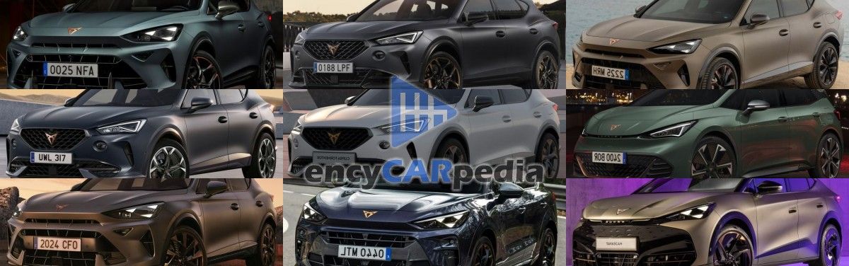 A maior relação potência/peso carros CUPRA do mundo