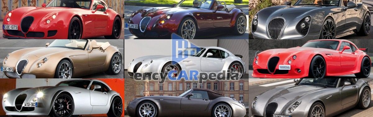 The Highest Power / Weight Wiesmann Cars Ever