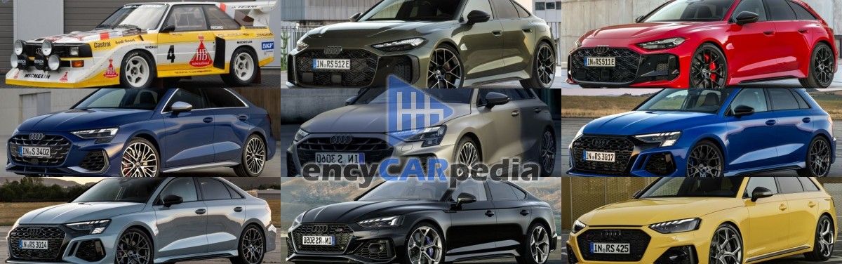 Le Audi con la più alta potenza specifica al mondo